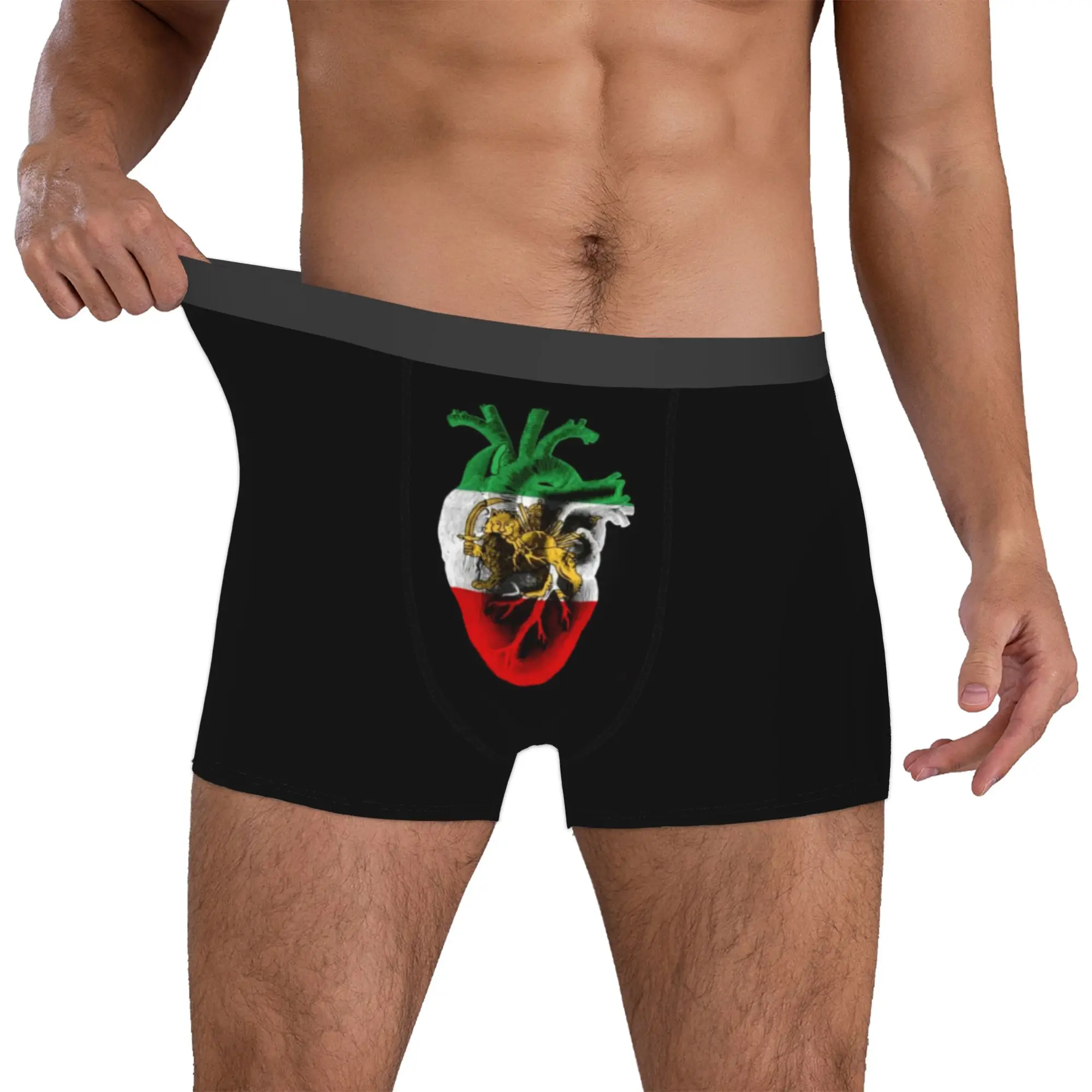 Custom Iran Flag Persian Winged Lion Boxers Shorts Men's  Briefs Underwear Funny Underpants