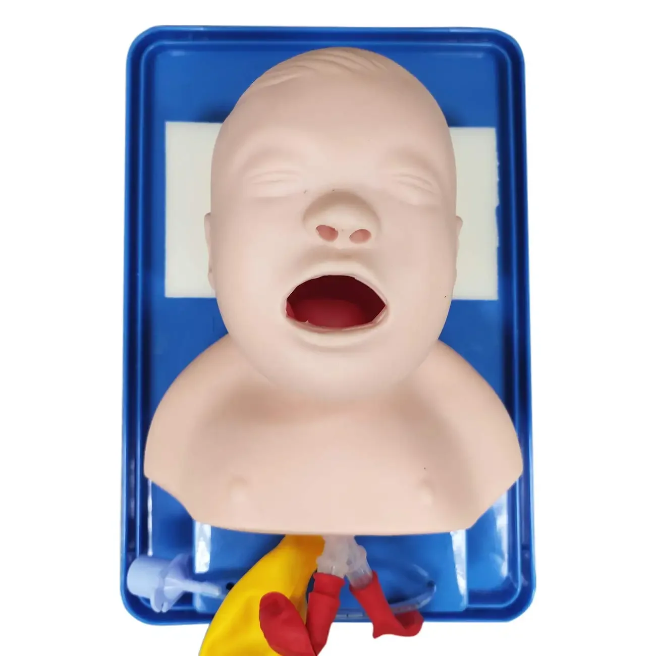 Neonatal Tracheal Intubation Model Infant Tracheal Intubation Training Simulation Model Education Medical Equipment