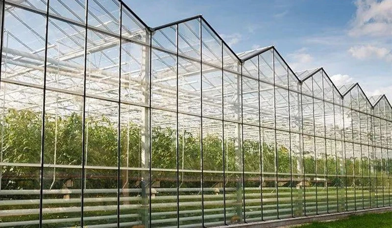 2025All'ingrosso di cornici per serra in vetro - Capannone per serra multipiano collegato con ombreggiatura di fiori per piantare uva