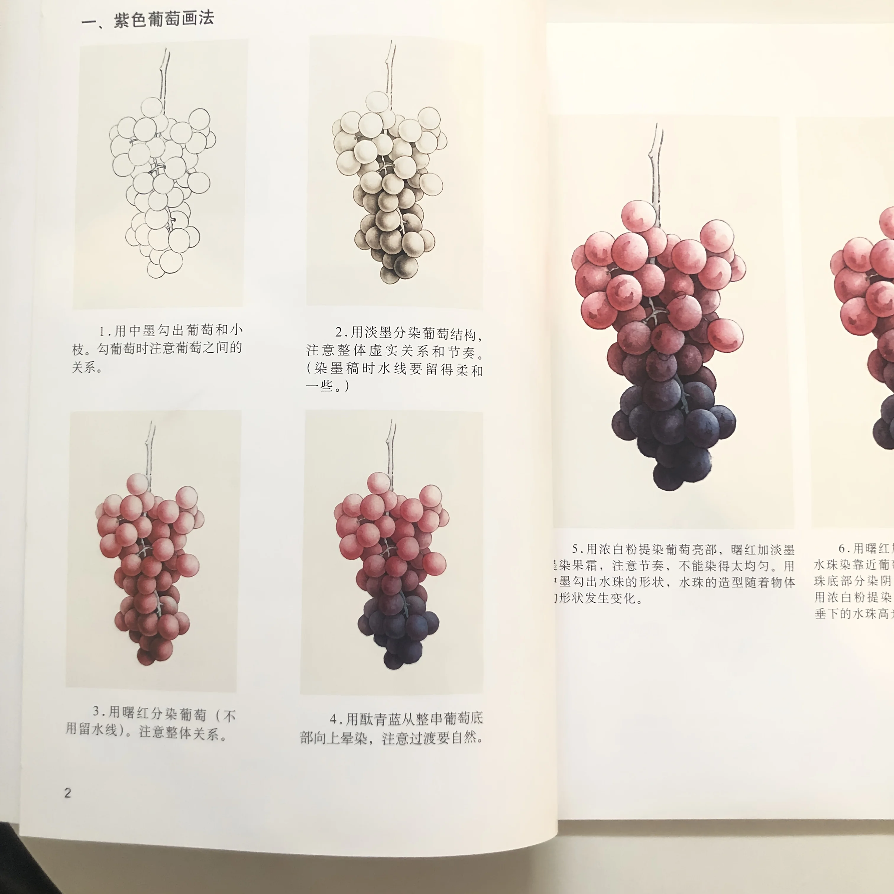 Beginner's Grape Painting: Gongbi Techniques for Translucent Fruit Texture