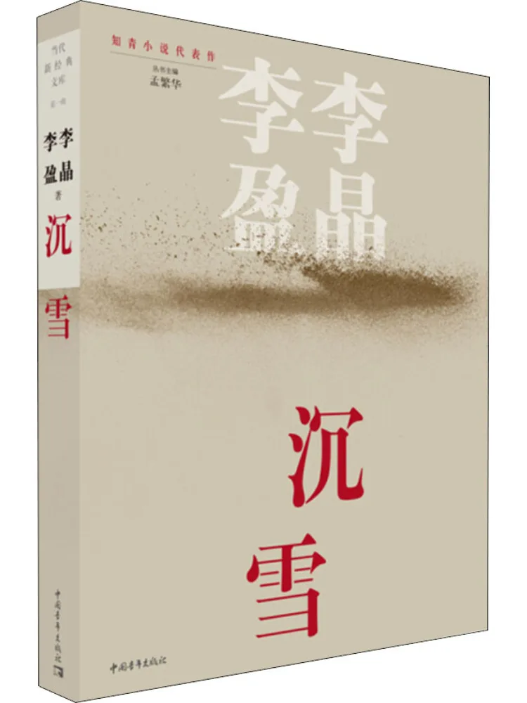 

Книга — Winshare Snowfall