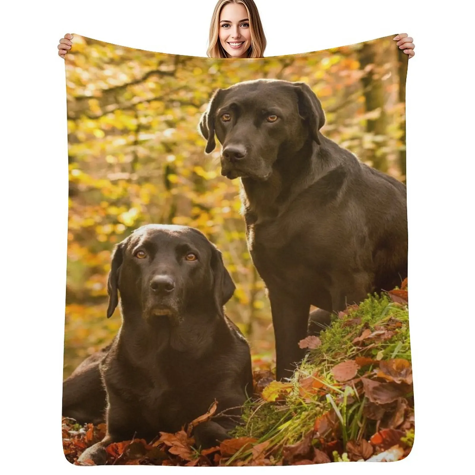 

Black Labradors Throw Blanket Weighted blankets ands Bed Fashionable blankets and throws Blankets