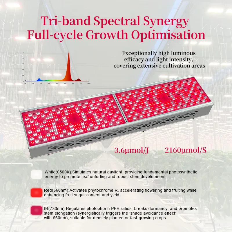 Lens LED Grow Light 300W 600W, High Red Spectrum Supplemental Light for Tomatoes & Strawberries, Greenhouse Dedicated Plant Lamp