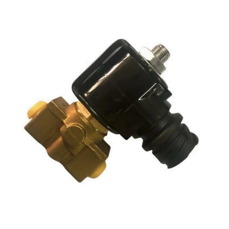 

OE 5010508325 2880214 096.2616 180220 High Quality Solenoid valve for RenauIt Trucks