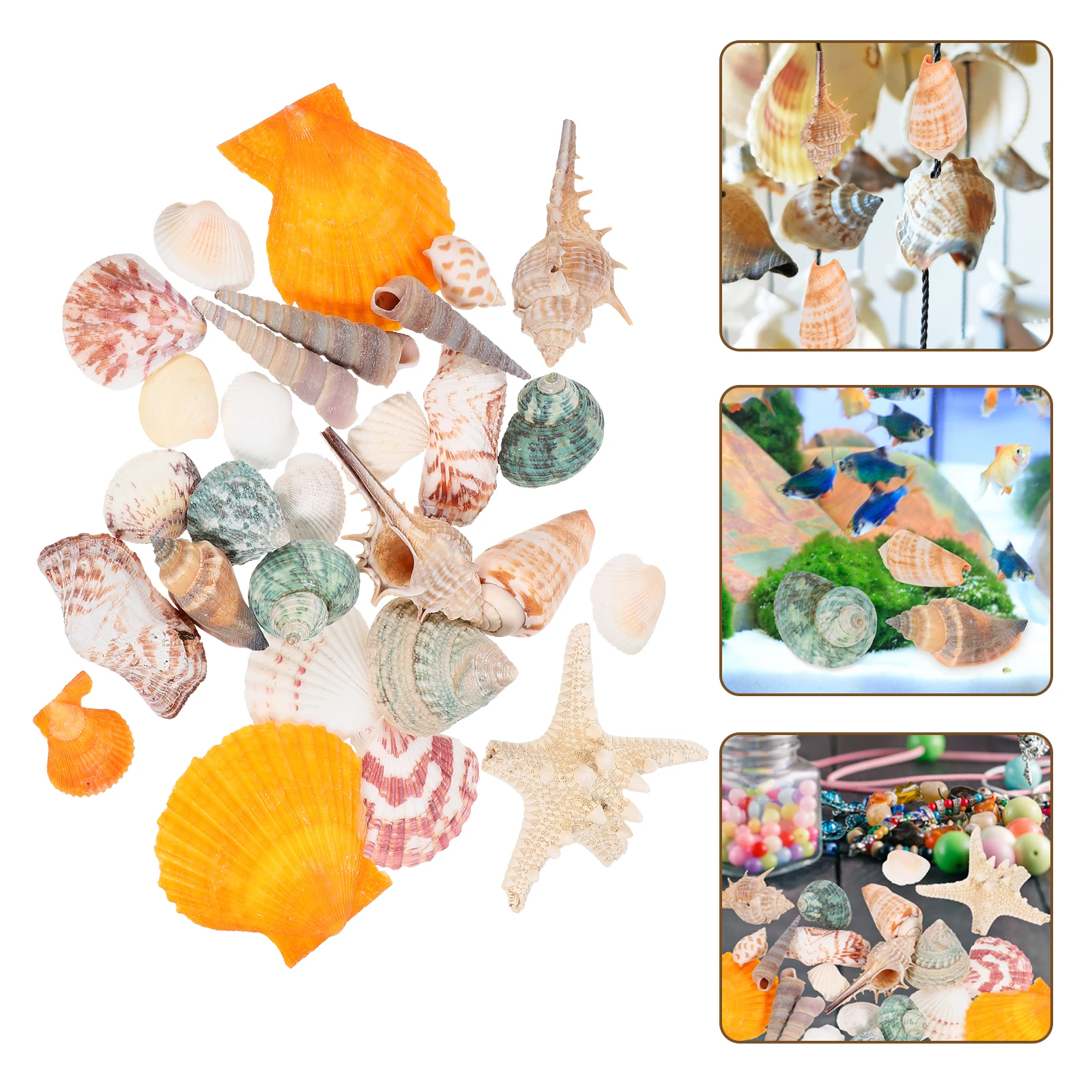 

Fish Tank Ornaments Conch Shell Natural Shells Aquarium Decor Seashells Home Water Quality Gifts