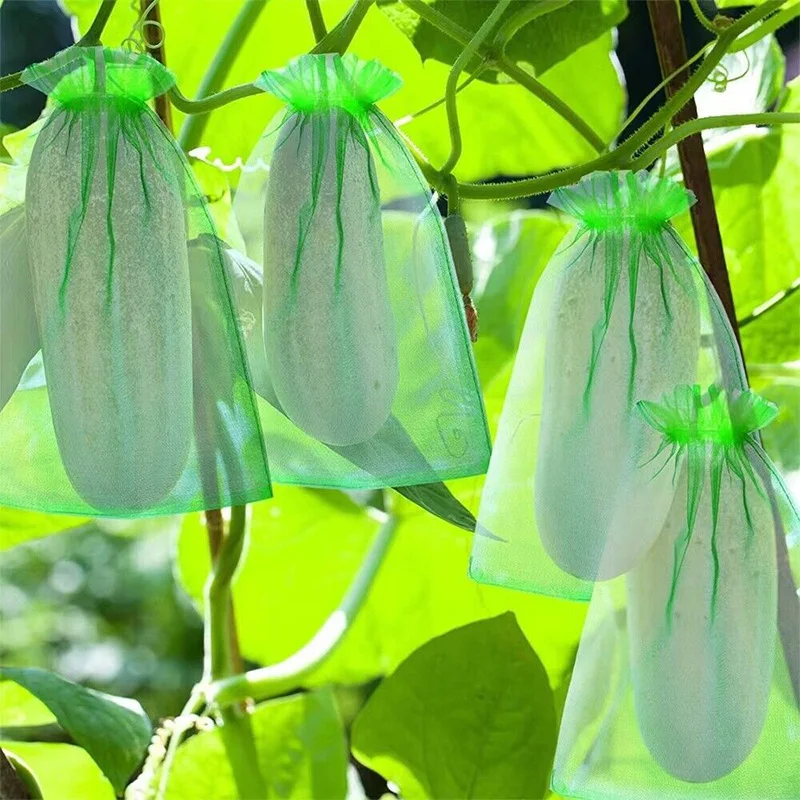 30Pcs Green Netting Fruit Grow Bags Vegetable Plant Fruit Protection Bags For Pest Control Anti-Bird Garden Tools