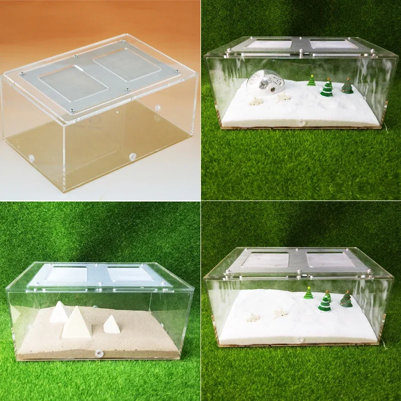 Shi Wang Ant Pavilion Acrylic Ecological Tank Landscape Box Luxury Ant Breeding Feed Box Insect Box Landscape Combination