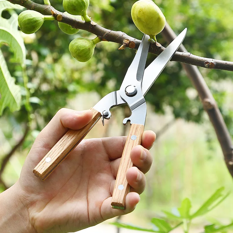 1 Piece Gardening Scissors, Fruit Picking Scissors, Fruit Tree Scissors, Labor-Saving Sharp Branch Shears, Pruning Tools
