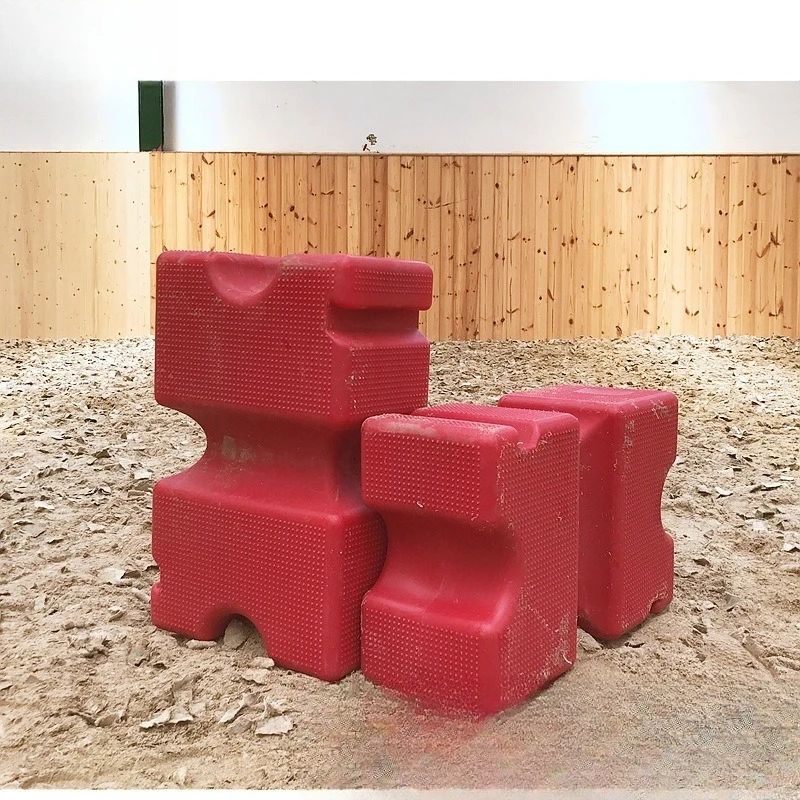 

Rubik's Cube for immediate obstacles, plastic large squares, 2 types of equestrian equipment