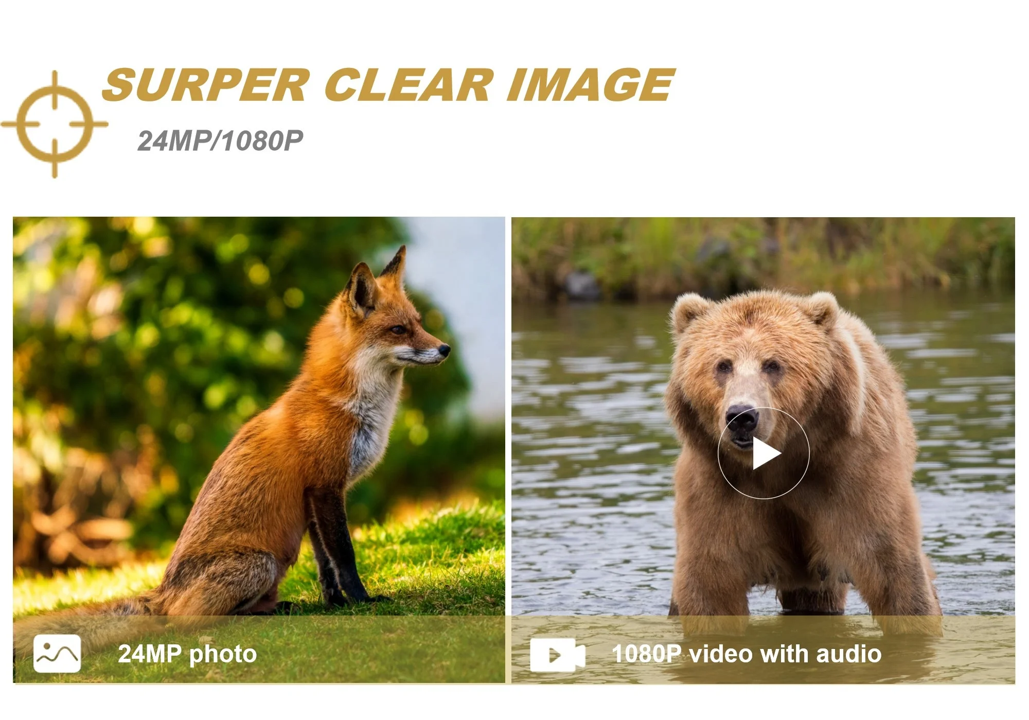 

Wholesale 4G LTE APP Control 1080P Outdoor Wireless 24MP Wildlife Camera Mini Hunting Cellular Trail Camera