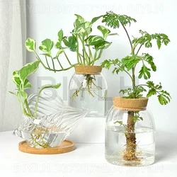 Nordic Style Glass Vase Home Decoration Hydroponic Vases Transparent Tabletop Flower Decor Ornament Hydroponic Plant Bottle Cork