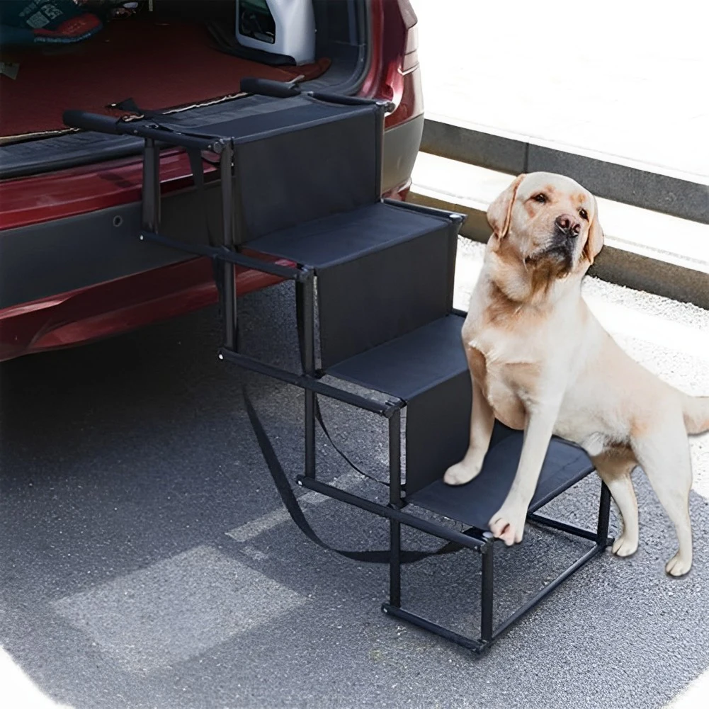 Keep Dogs Out Yard: The Ultimate Guide to Pet-Friendly Yard Protection Solutions