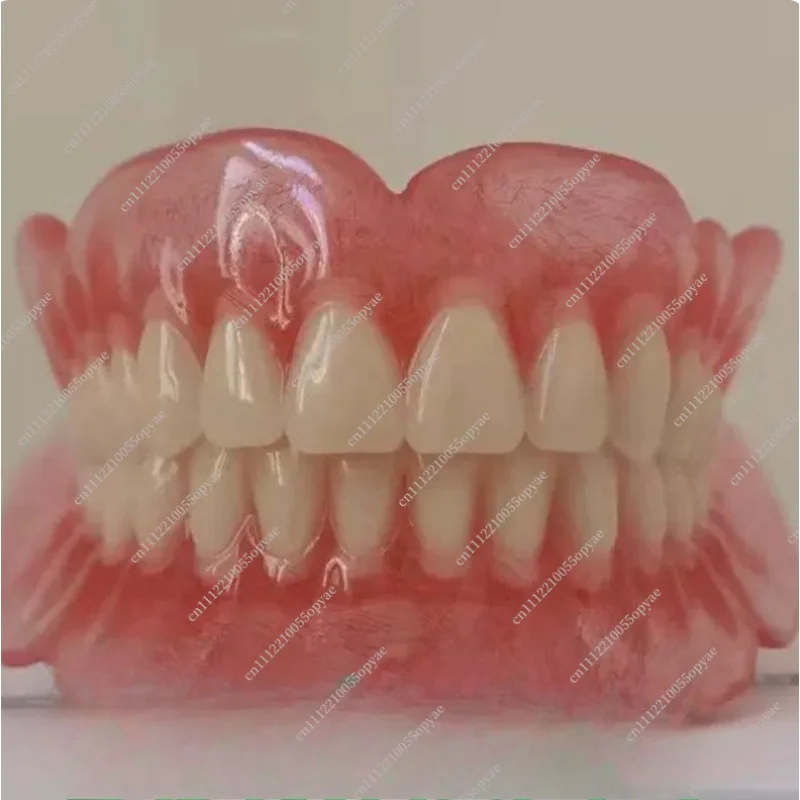 Full and Half Teeth Models for Elderly Full Denture Batch Sample Models Removable False Teeth Display Demo