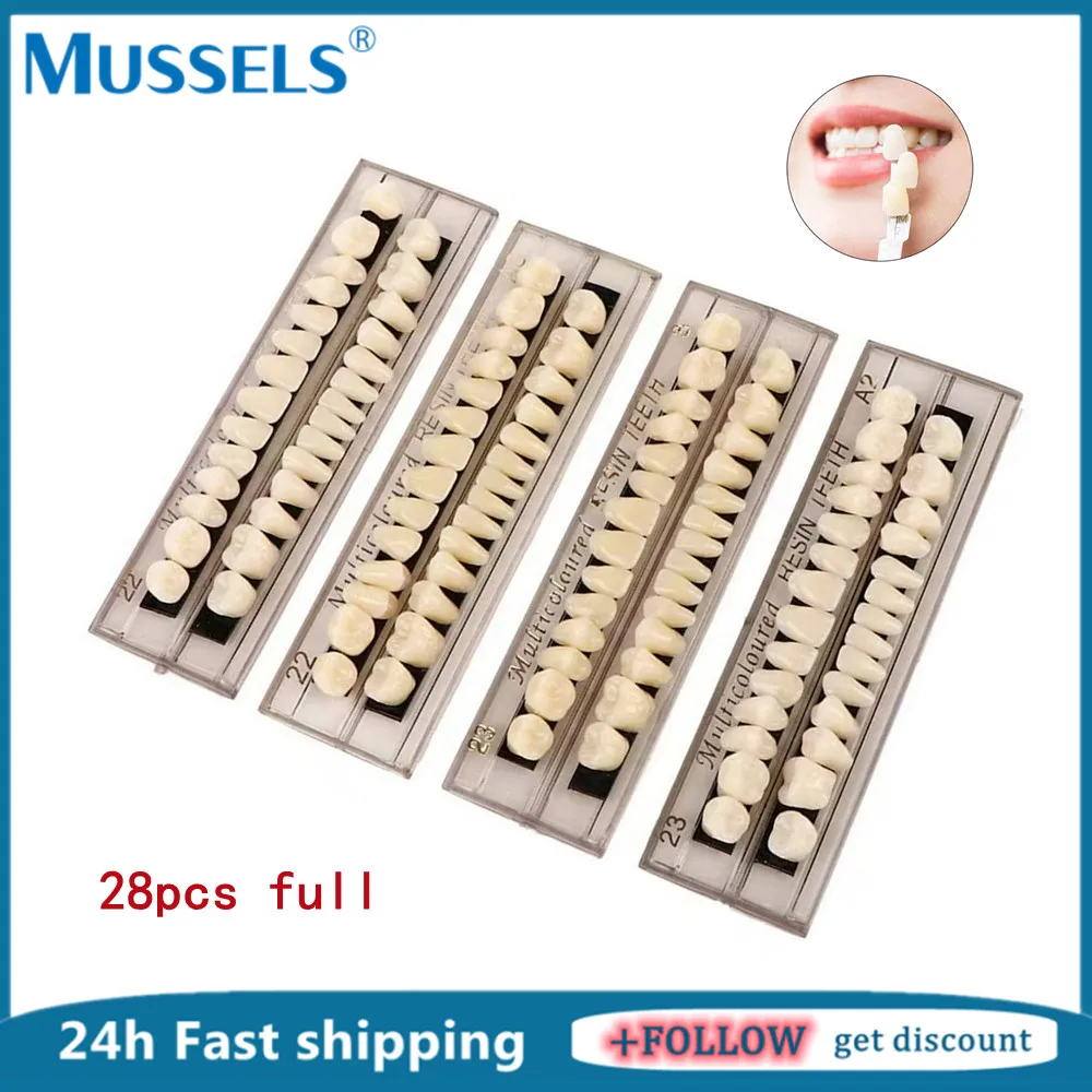 28pcs Dental Acrylic Resin Denture Teeth Full Set False Fake Tooth Synthetic Teaching Model Shade A2 A3 Upper Lower for Hallowee