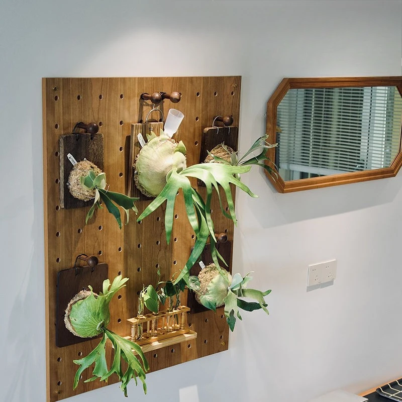 Staghorn fern hole board, balcony display, storage, green plants, flowers, plant horn display, no punching L