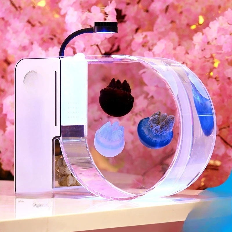 Jellyfish live professional, jellyfish tank, fish tank, family jellyfish tank