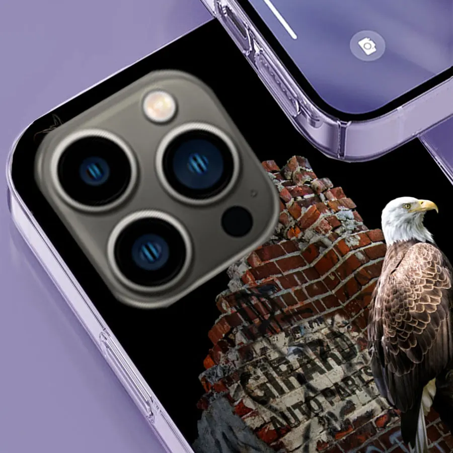 Air Hunter Eagle Fierce Condor Phone Case For Apple Iphone 16 13 Pro Max Coque 15 14 Plus Clear 12 Mini 11 Pro Cover Cute Fundas