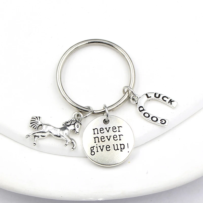 New Arrival Horseshoe Keychain Good Luck Horse Keyring Car Key Holder Bag Pendant Charm Accessories Jewelry Gift for Women Men