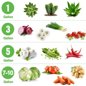 dikim için torbada 11 büyük satış - №4