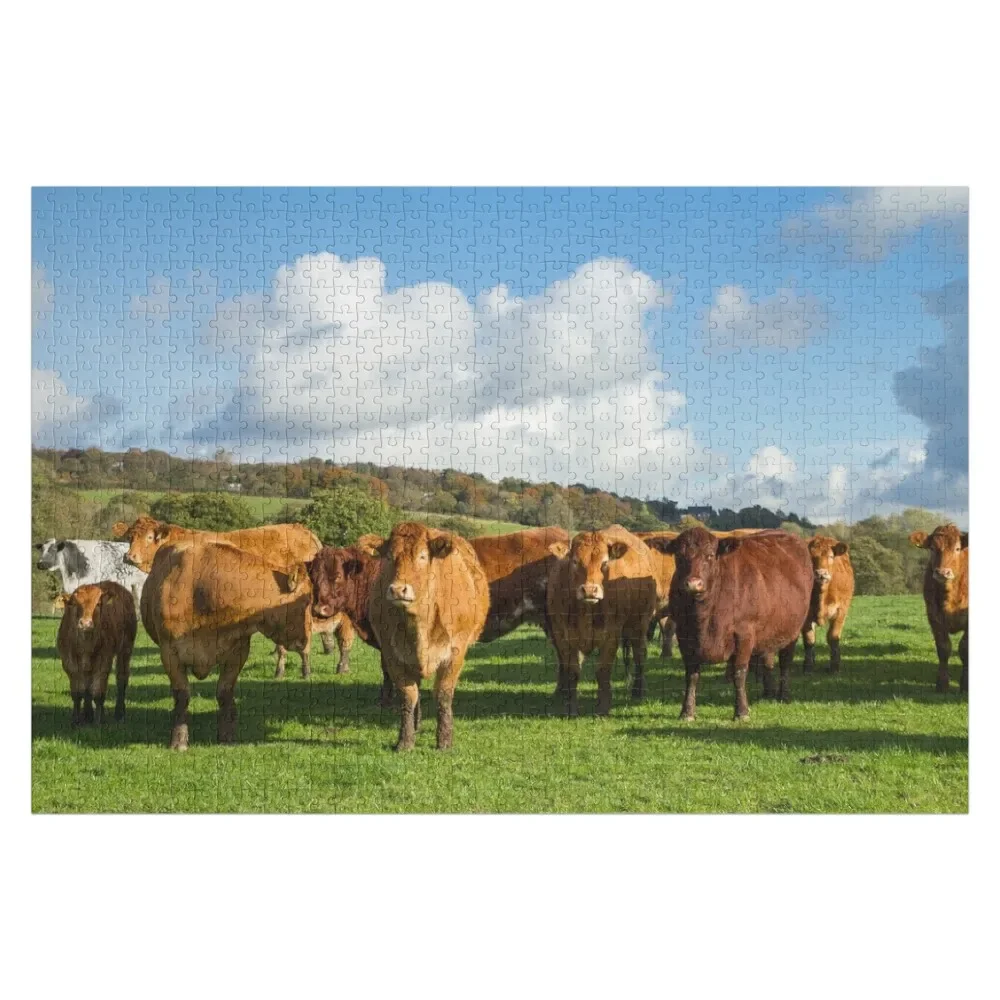 

Limousin Cows Jigsaw Puzzle Wooden Decor Paintings With Personalized Photo Puzzle