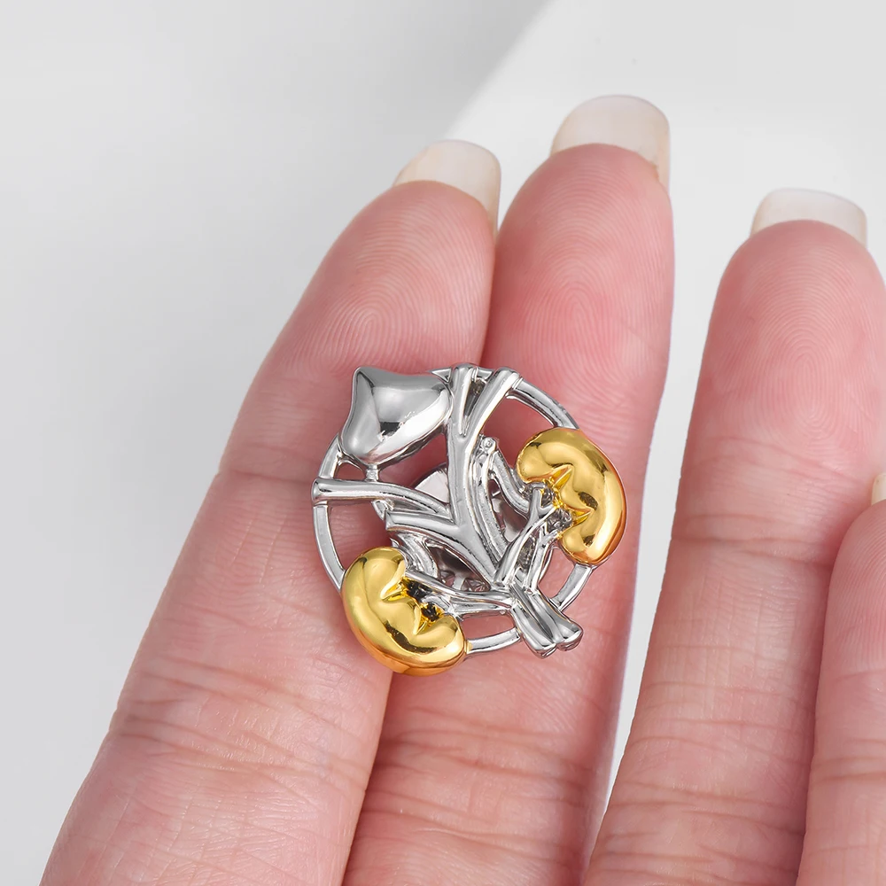 DCARZZ الطبية المسالك البولية الكلى المثانة بروش دبابيس فاخرة البروستاتا تشريح الجهاز مجوهرات التلبيب شارة لطبيب الذكورة ممرضة