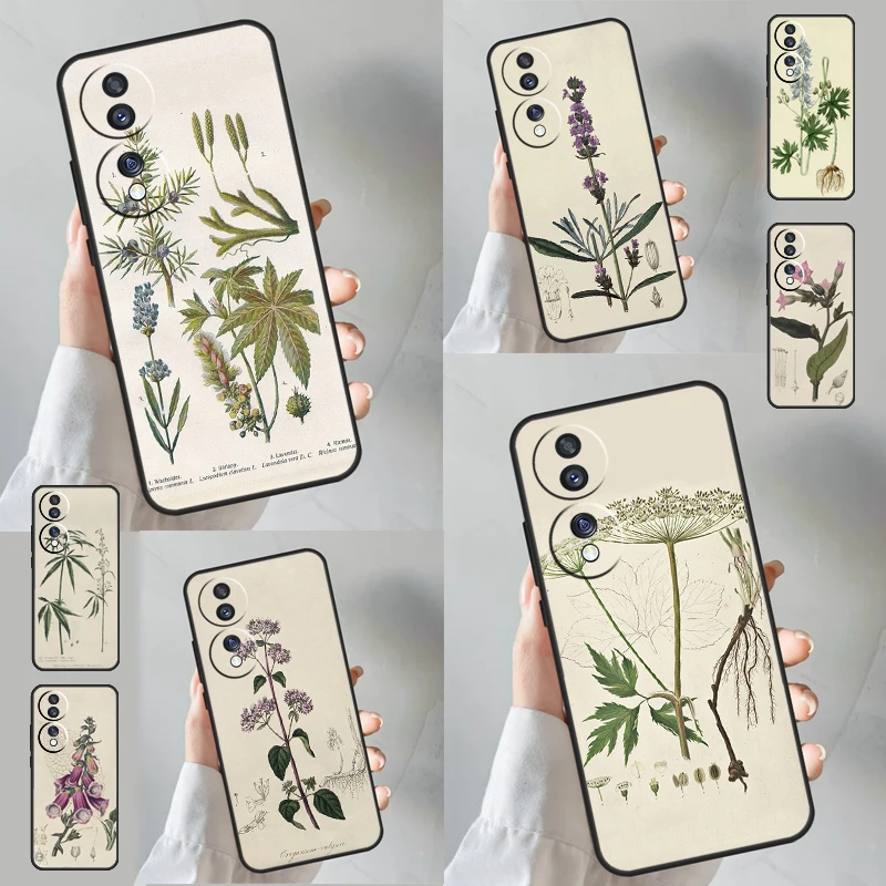 Botanical Drawings Flowers Plants For Huawei Honor Magic 5 Lite X8a X9a 50 70 Nova 9 5T P Smart P20 P30 P40 P50 P60 Pro Case