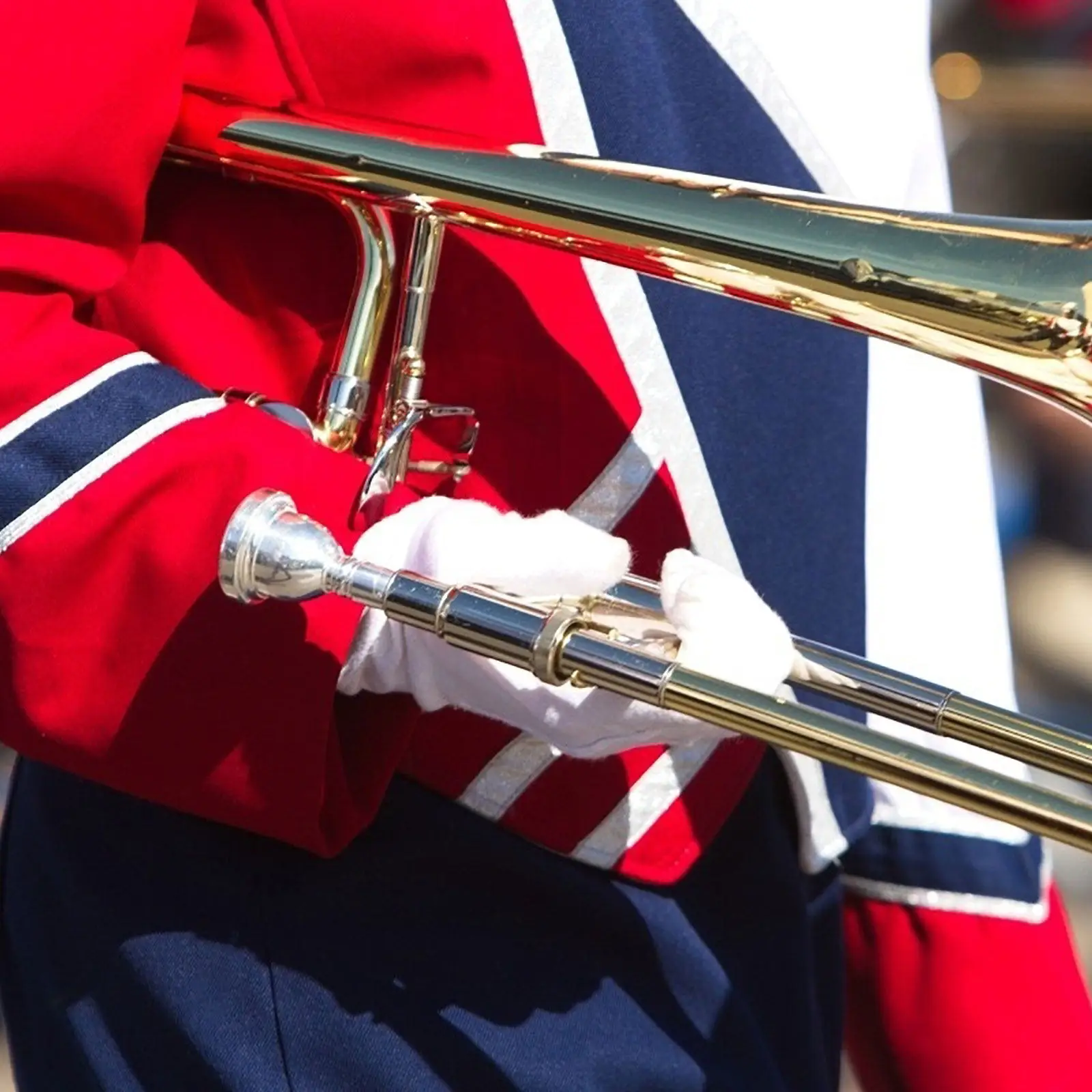 

Набор из 1 гибкой щетки для чистки трубы, универсальный двусторонний инструмент для обслуживания саксофона, горна, корнета и других духовых инструментов