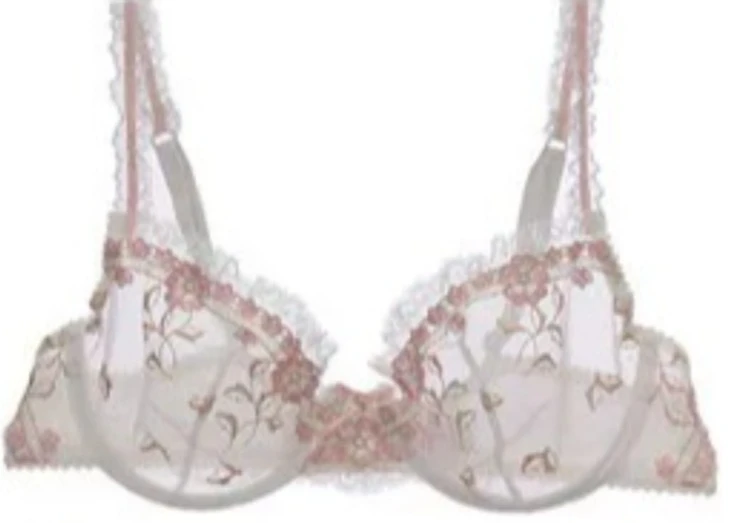 Ladies Plus Size Underwire Bra Set Thin Lace See Through Design Comfortable Stretchy Daily Casual Lingerie Underwear Kit 32-42AB