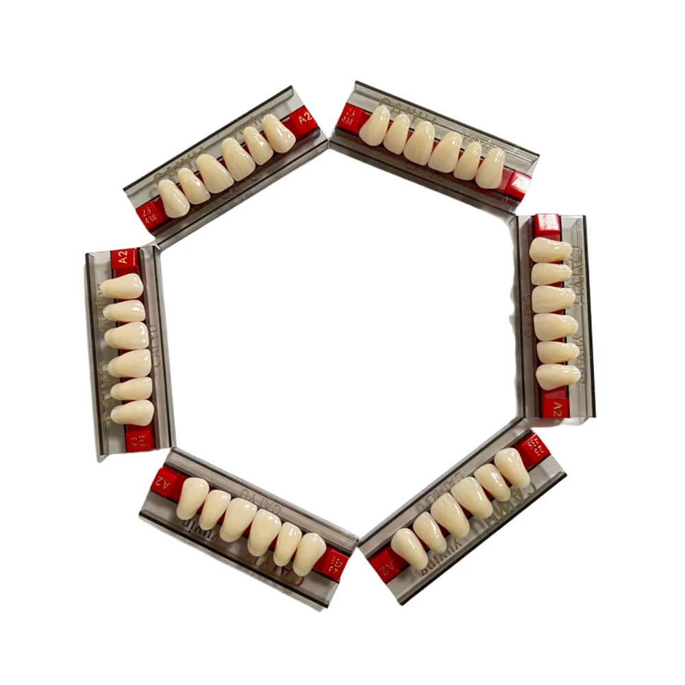 Thumbnail 2 - #49 Dental Teaching Models List of Top Picks