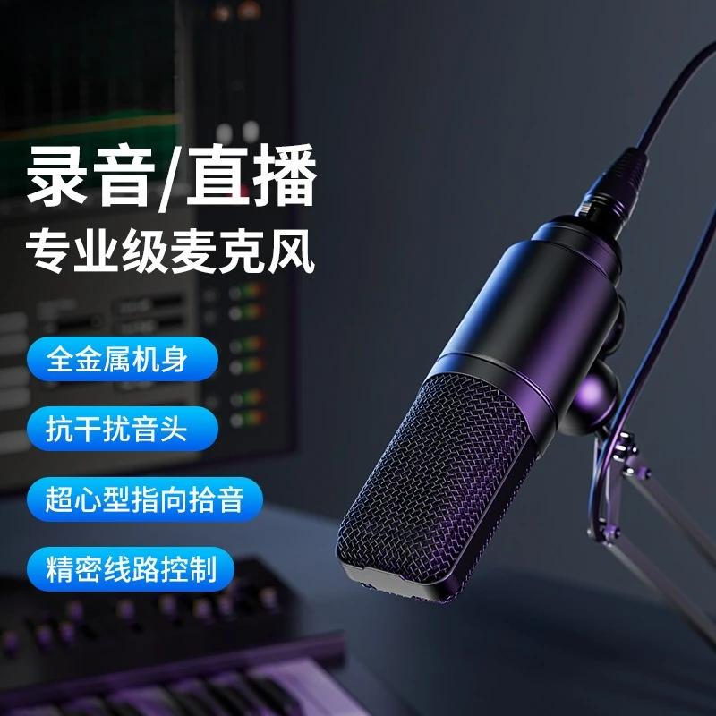 Microphone for Cartoon Microphone Hanging Recording Singing Condenser