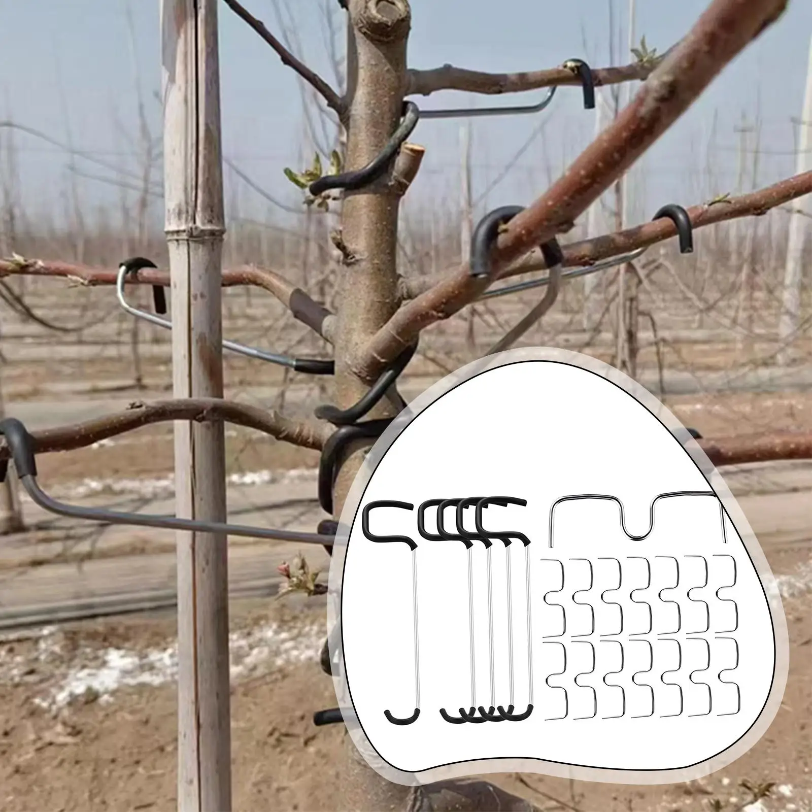 Tree Limb Spreaders Reusable Iron Branch Fixing Clamp Plant Holder for Fruit Tree Productivity