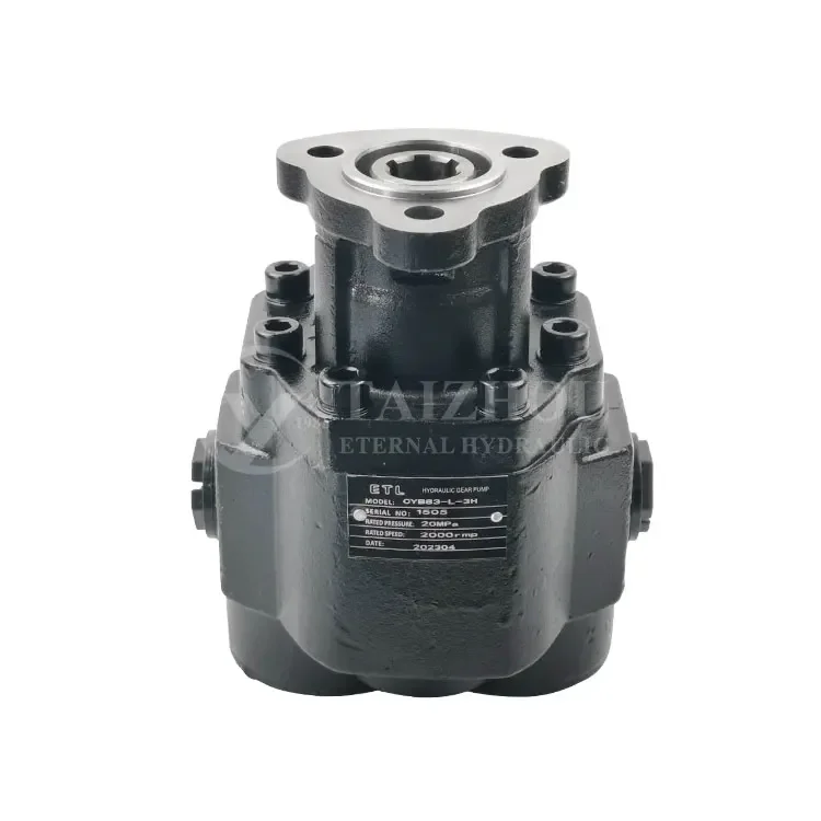 

reliable 350bar hydraulic gear motor, HYVA 085L-BI-4H3-2S 105L-BI-4H3-2S 115L-BI-4H3-4P 4 bolts for Caterpillar truck gear pump