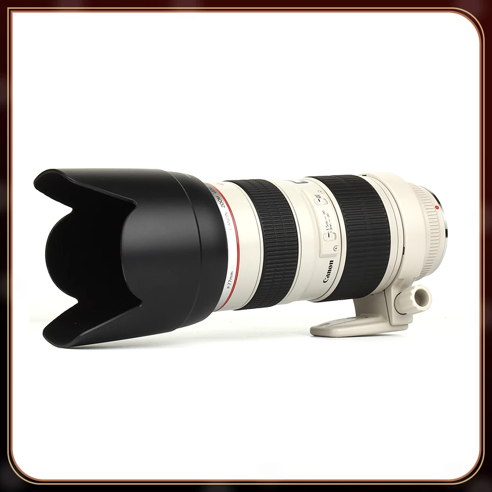 Canon EF 70-200mm f/2.8L USM Lens