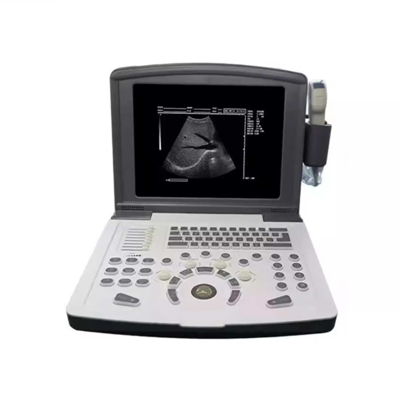 Portable black and white ultrasound machine, hospital physical examination, animal pet hospital portable ultrasound machine