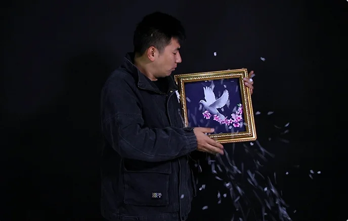 ديلوكس حمامة الإطار حمامة صورة تغيير اللون إلى حمامة حقيقية المرحلة الخدع السحرية تغيير مزدوج الدعائم السحرية حفلة عرض سحري لعبة كوميديا