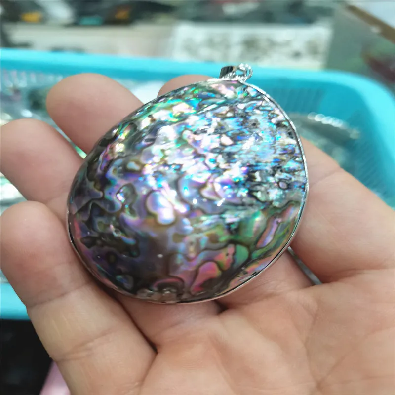 Natural Crystal Abalone Shells New Zealand Colorful Home Decoration Seafood Craft Supplies