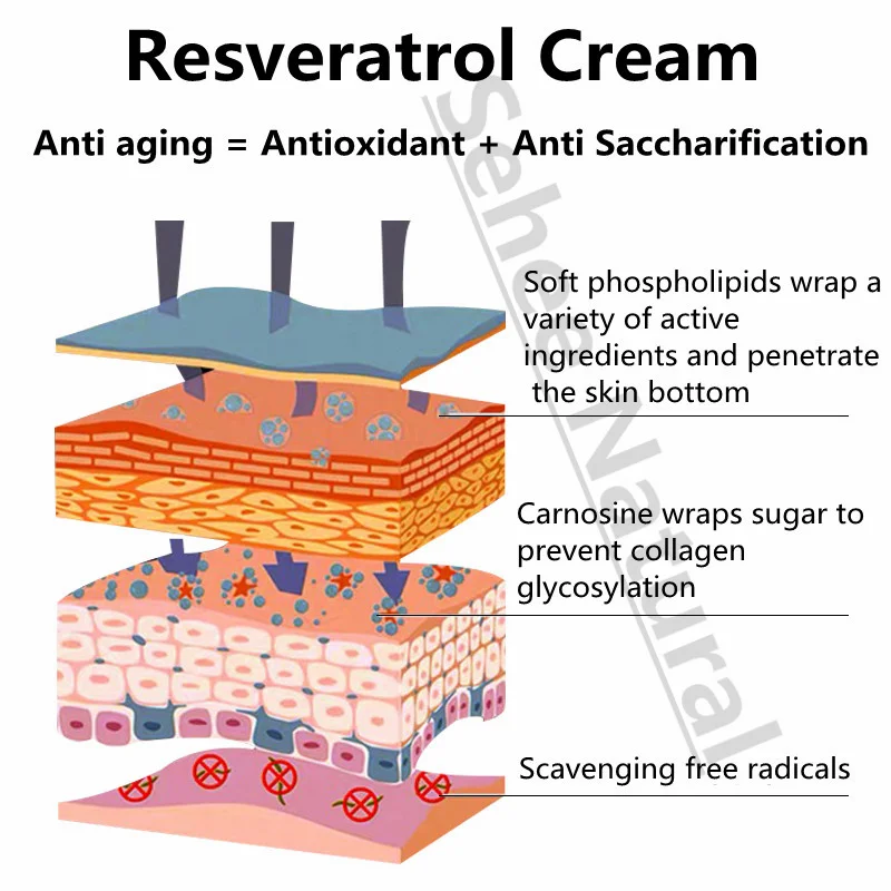 Antioxidant Resveratrol Cream Concentrate Essence Cream Moisture Replenishment Desalination Fine Lines 300ml