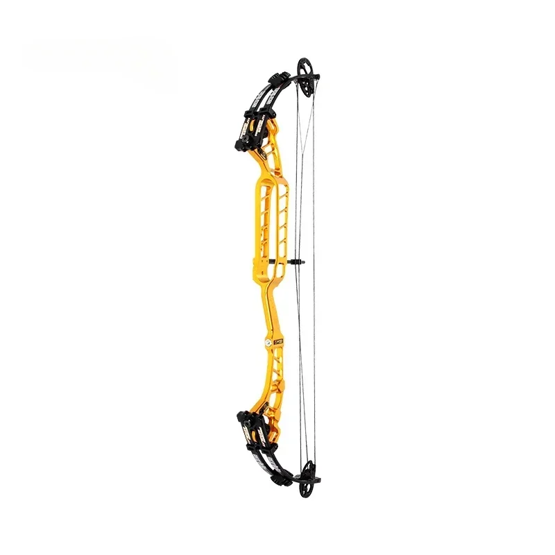 Sanlida Archery Pro Level Target Compound Bow Kit with Accessories Gold Solid Draw Wall Universal Edition