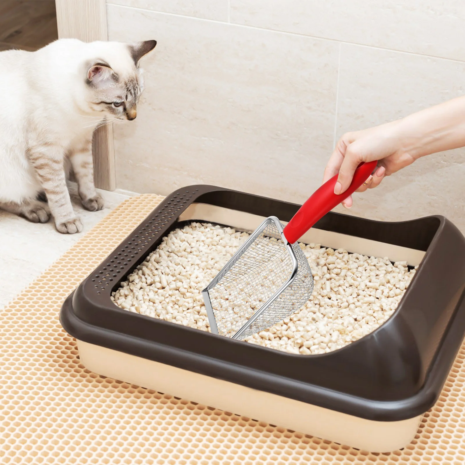 

Stainless Steel Cat Litter Scoop 38X38mm Mesh Red Color Efficient Sifting Durable Construction Ergonomic Handle Litter Box