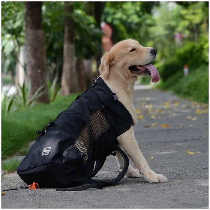 #73 Top Dog Backpacks Picks for Every Budget