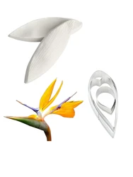 5PCS Gumpaste Flower Sugar Petal Veiners&Cutters Moule Silicone For Strelitzia reginae Cake Decorating Tools Molde Silicona