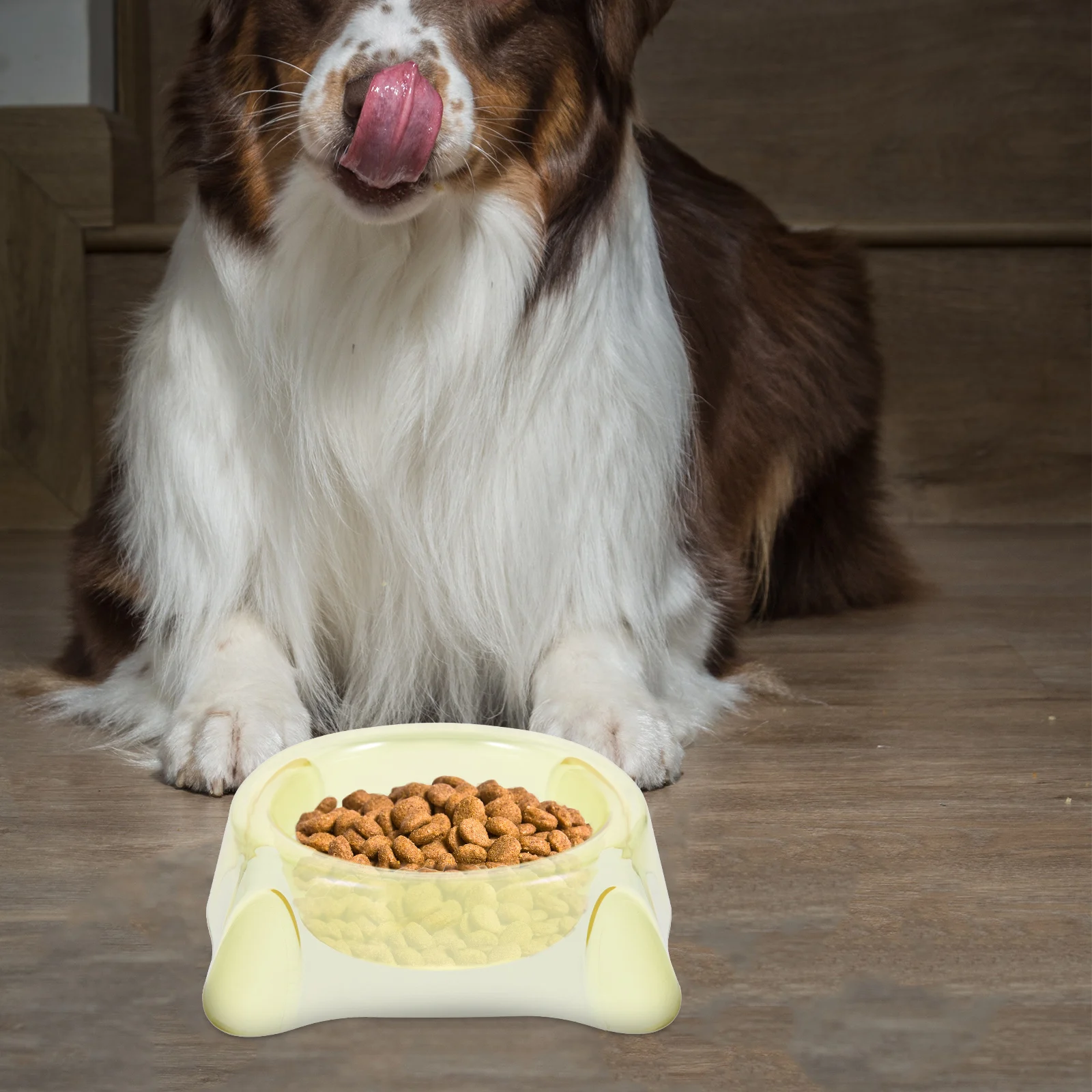 

Pet Bowls for Small Dogs Multi Purpose Food Kitten Cat Water Puppy Feeder Travel Large Capacity Easy Clean Dog Bowl Pet Food