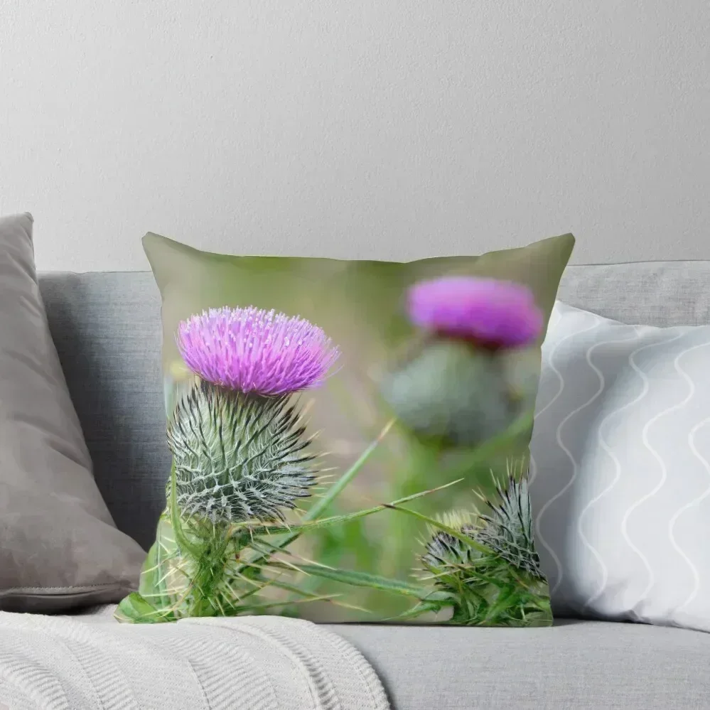 

Scottish thistles Throw Pillow Covers For Sofas Cushion Child Decorative Cover For Living Room Custom Cushion Photo pillow