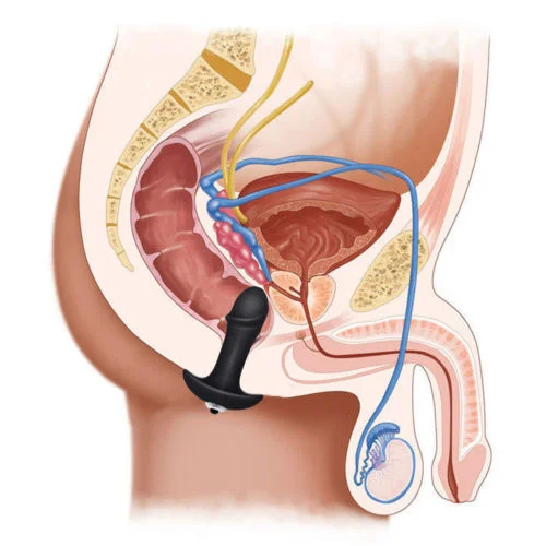 waterproof Massager Vibrator G-spot-Dildo Anal Beads Butt Plug Adult Sex Toy Anal dildo Battery Powered vibromasseur prostate