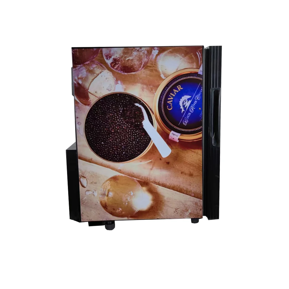 أفضل قيمة الصين الوحش شرب عرض الطاقة الثلاجة الصين 21l متجر صغير تستقيم ثلاجة الكافيار