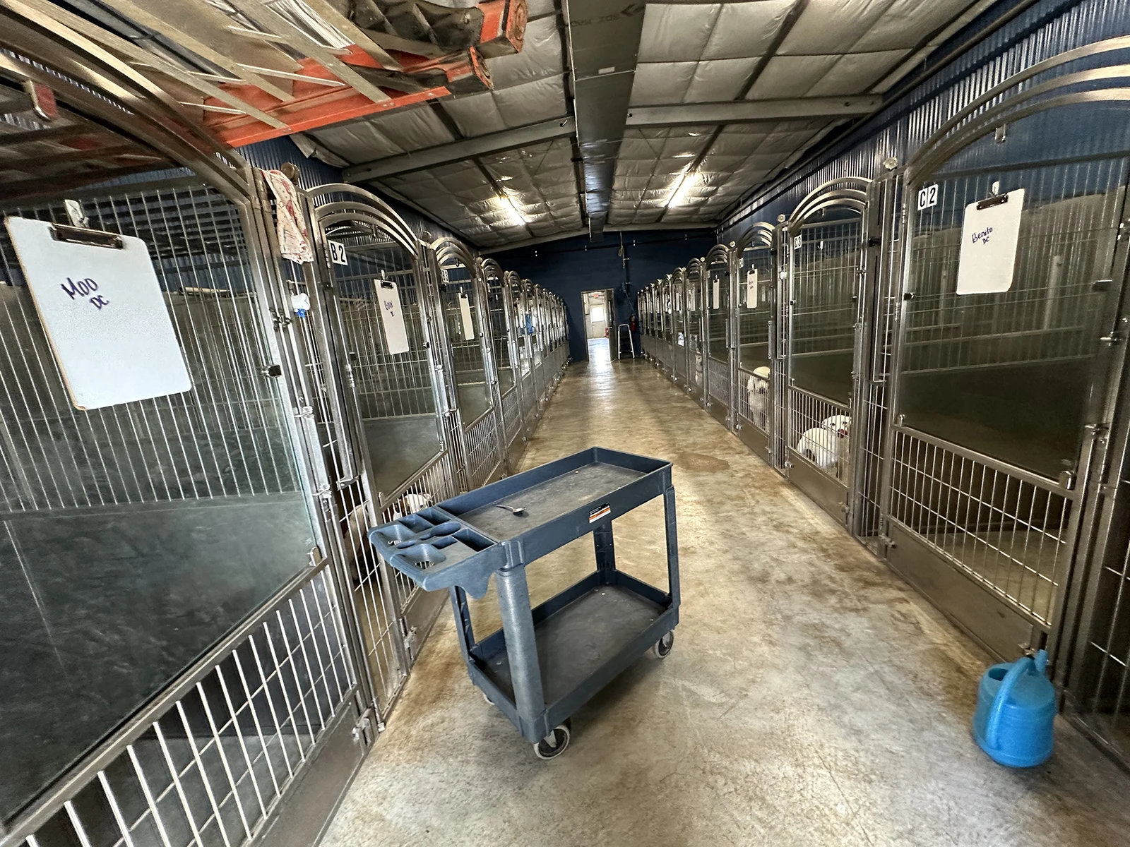 Large Dog Runs Stainless Steel Kennels Glass Door and HDPE Panels Custom Walk in Kennel
