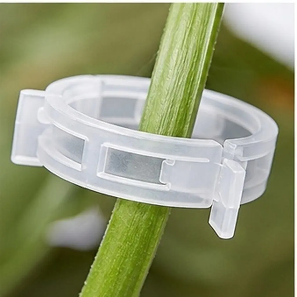 Garden Plant Support Clips Reusable Plastic Stem Straightening Hooks for Tomato Cucumber Watermelon Grafting