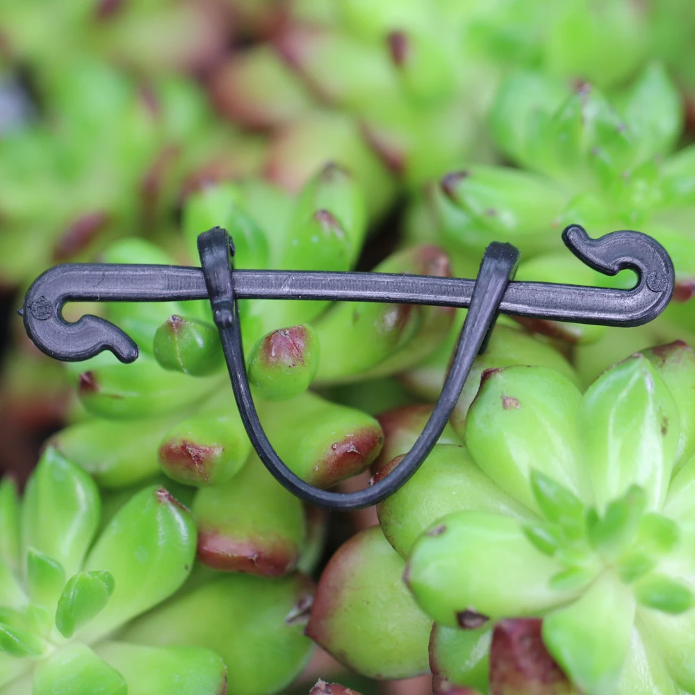 100pcs Garden Plants Vines Fixed Clips for Kiwi Grape Cucumber Tomato Tied Buckles Lashing Hook Stems Fastener Gadgets Grafting