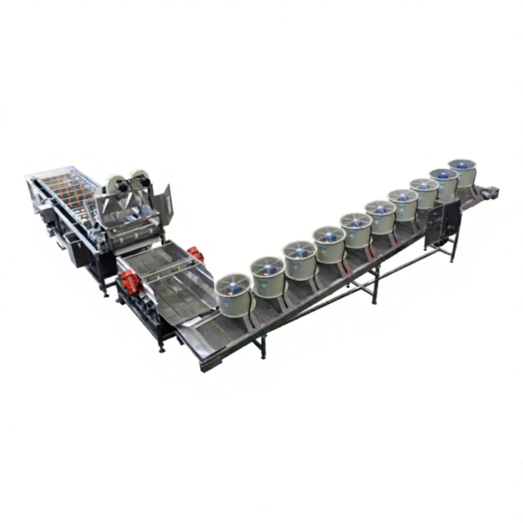 FOODLINE Fruit and Vegetable Blanching Machine Adjustable Speed Conveyor Blancher for Different Vegetable Raw Material