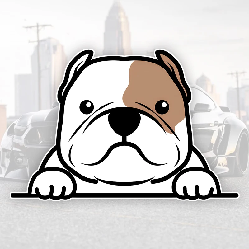 DK173# 15x10cm Peeking American Bully Car Bumper Window Stickers Fashion Decals Vinyl Material Creative Stickers